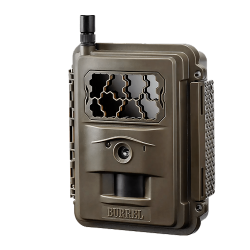 Forest / Hunting / Trail - Autonomous cameras