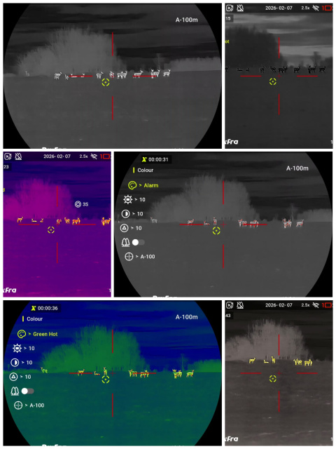 <h3>PEGASUS 2 P635 LRF: Pros and Cons</h3>